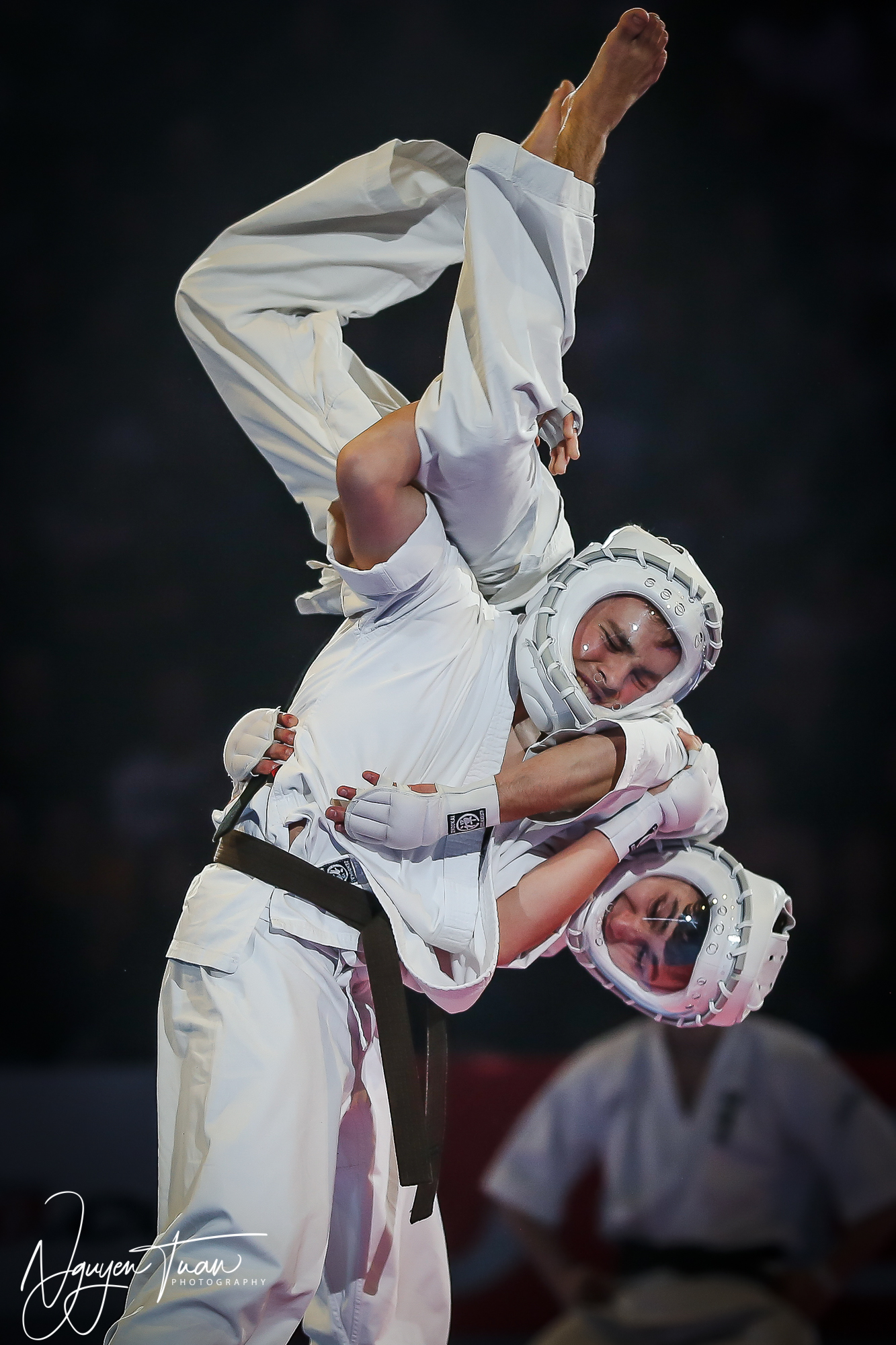 20190324 Festival des Arts Martiaux 3186